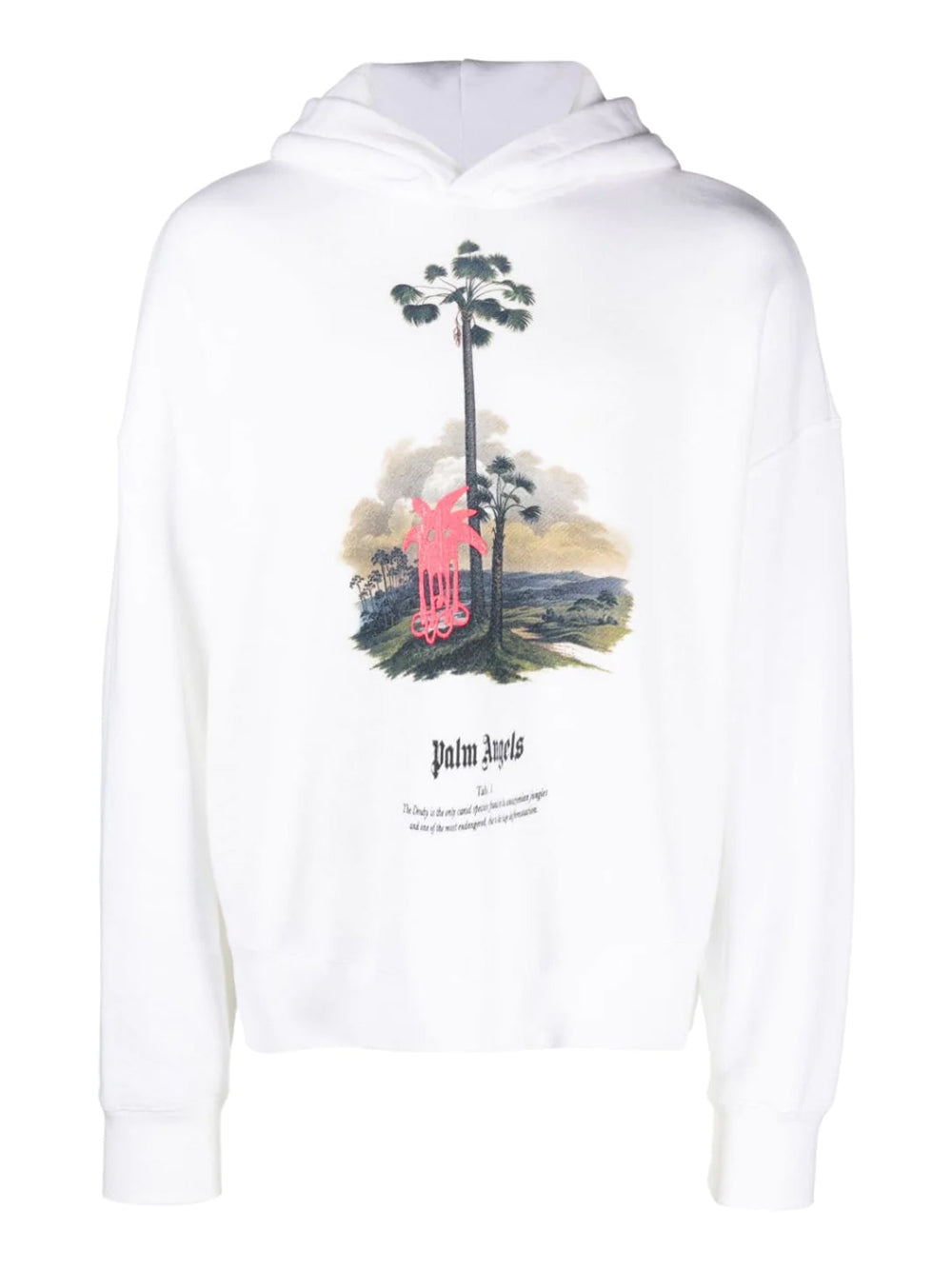 PALM ANGELS HOODIE PMBB138E23FLE0020332