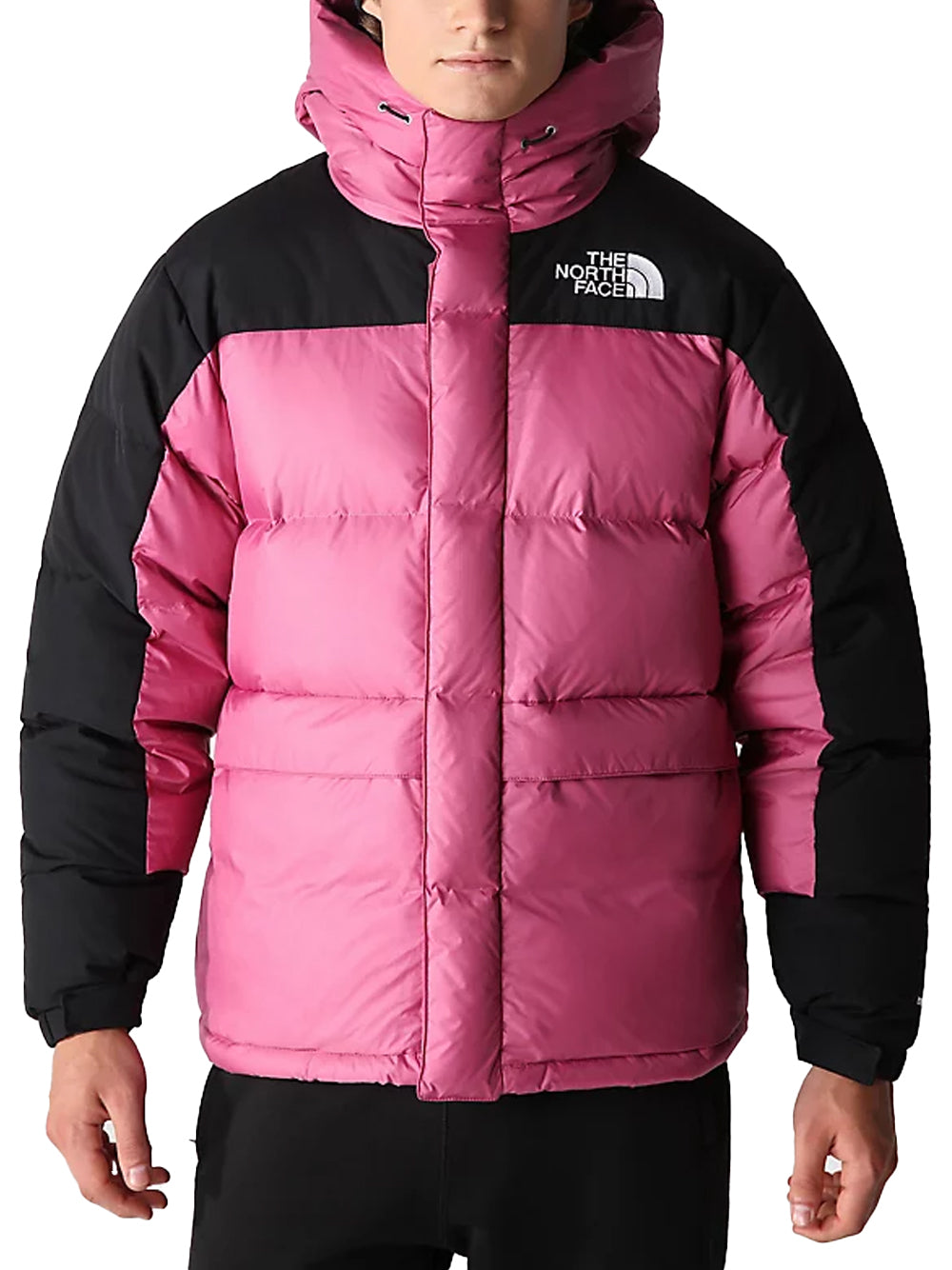 THE NORTH FACE PARKA IN PIUMINO HIMALAYAN 4QYX