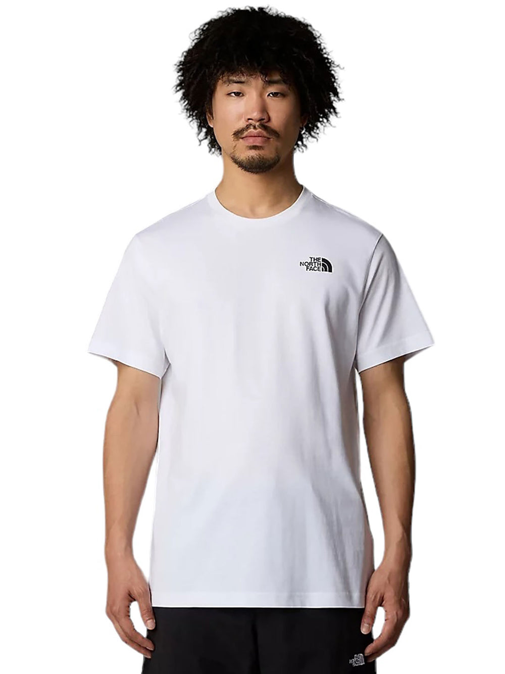 THE NORTH FACE T-SHIRT NF0A89FPFN4
